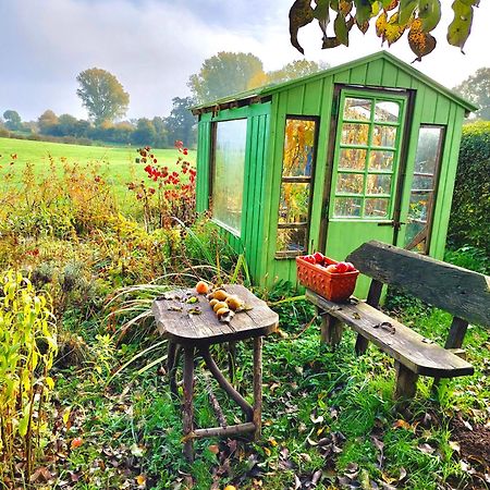 Gemuetliches Studio-Apartment In Ostseenaehe - Cosy Wulfi Probsteierhagen Zewnętrze zdjęcie