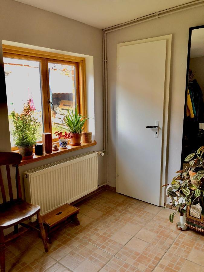 Gemuetliches Studio-Apartment In Ostseenaehe - Cosy Wulfi Probsteierhagen Zewnętrze zdjęcie
