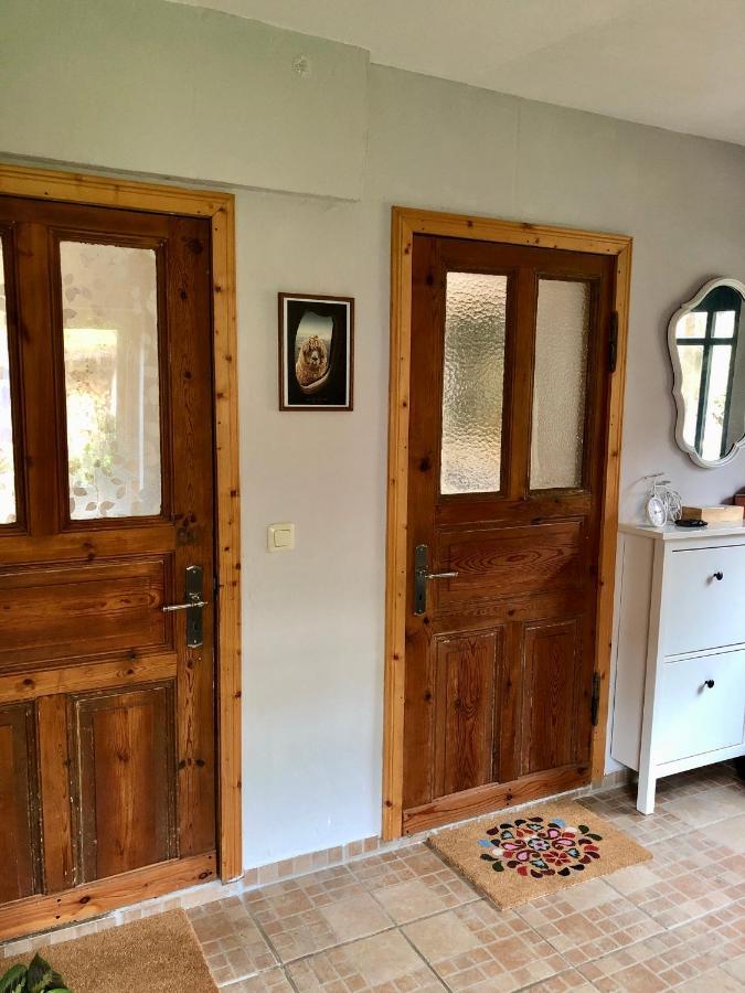 Gemuetliches Studio-Apartment In Ostseenaehe - Cosy Wulfi Probsteierhagen Zewnętrze zdjęcie