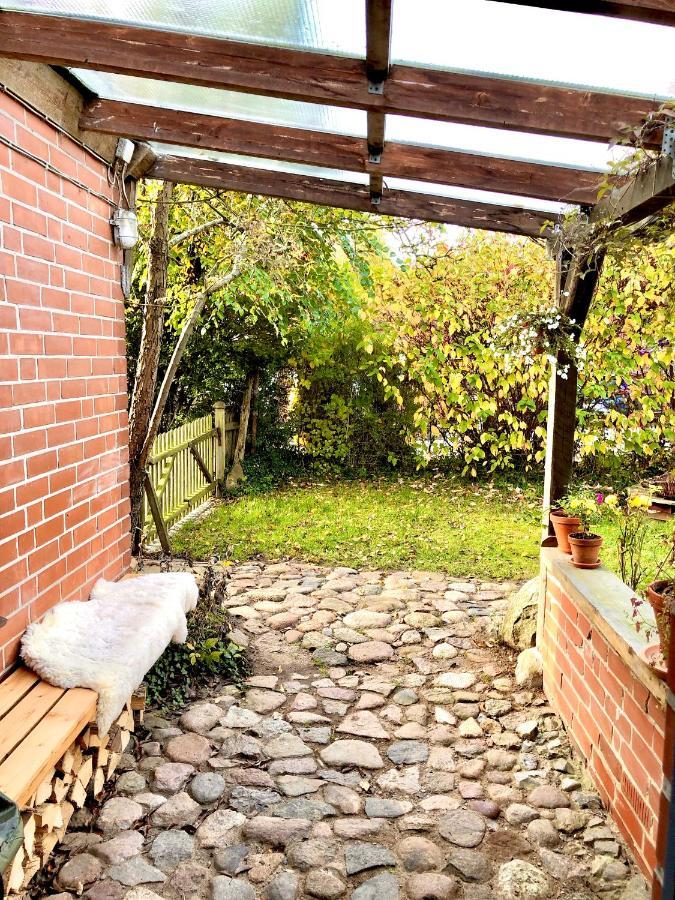 Gemuetliches Studio-Apartment In Ostseenaehe - Cosy Wulfi Probsteierhagen Zewnętrze zdjęcie