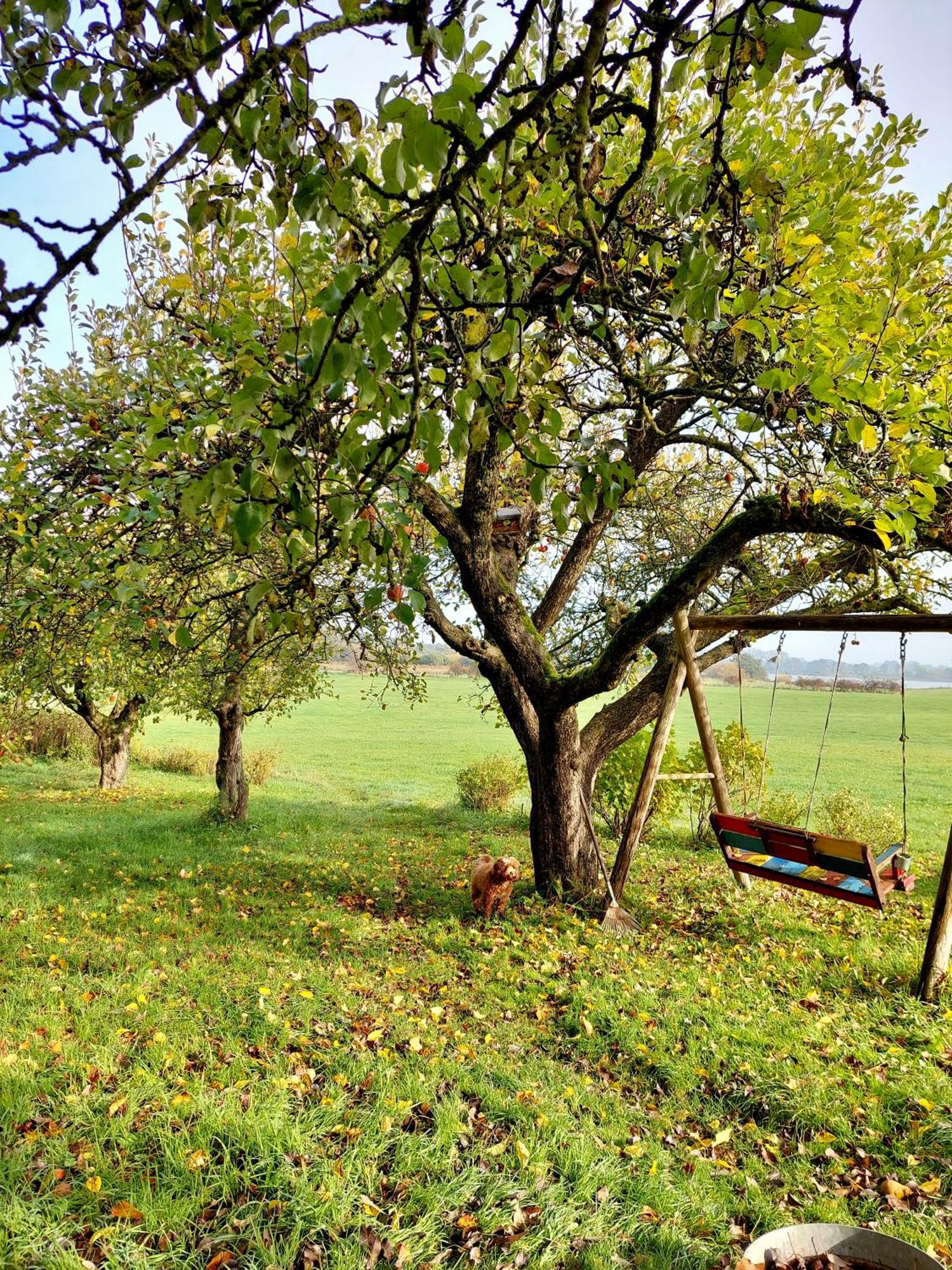 Gemuetliches Studio-Apartment In Ostseenaehe - Cosy Wulfi Probsteierhagen Zewnętrze zdjęcie