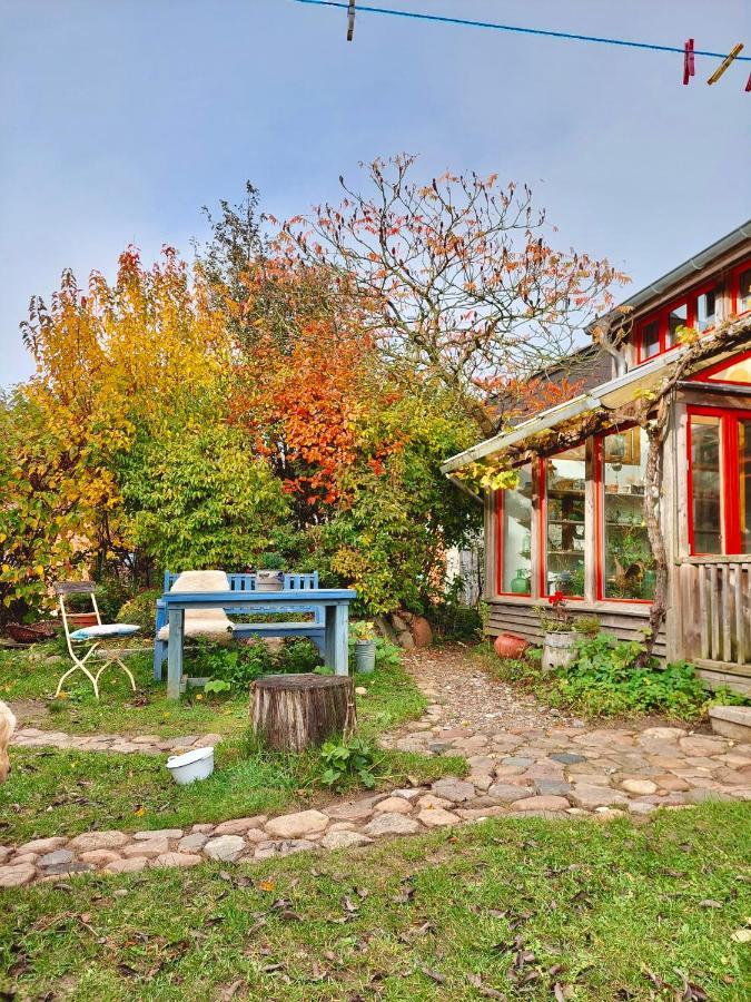 Gemuetliches Studio-Apartment In Ostseenaehe - Cosy Wulfi Probsteierhagen Zewnętrze zdjęcie