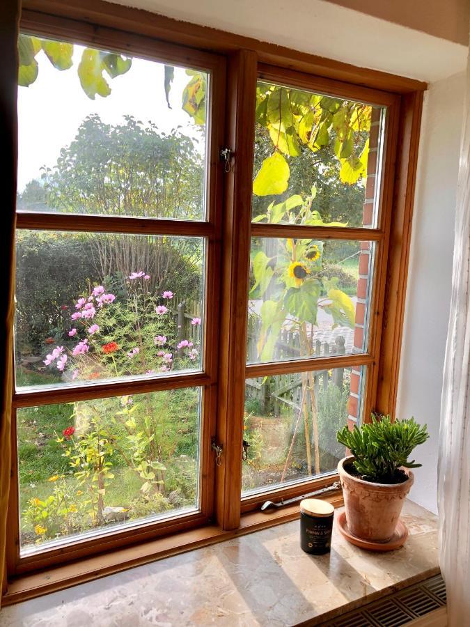 Gemuetliches Studio-Apartment In Ostseenaehe - Cosy Wulfi Probsteierhagen Zewnętrze zdjęcie